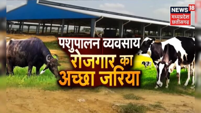 Annadata | पशुशाला बनाते समय इन बातों का रखें विशेष सावधानियों | Cattle Farming | Farming